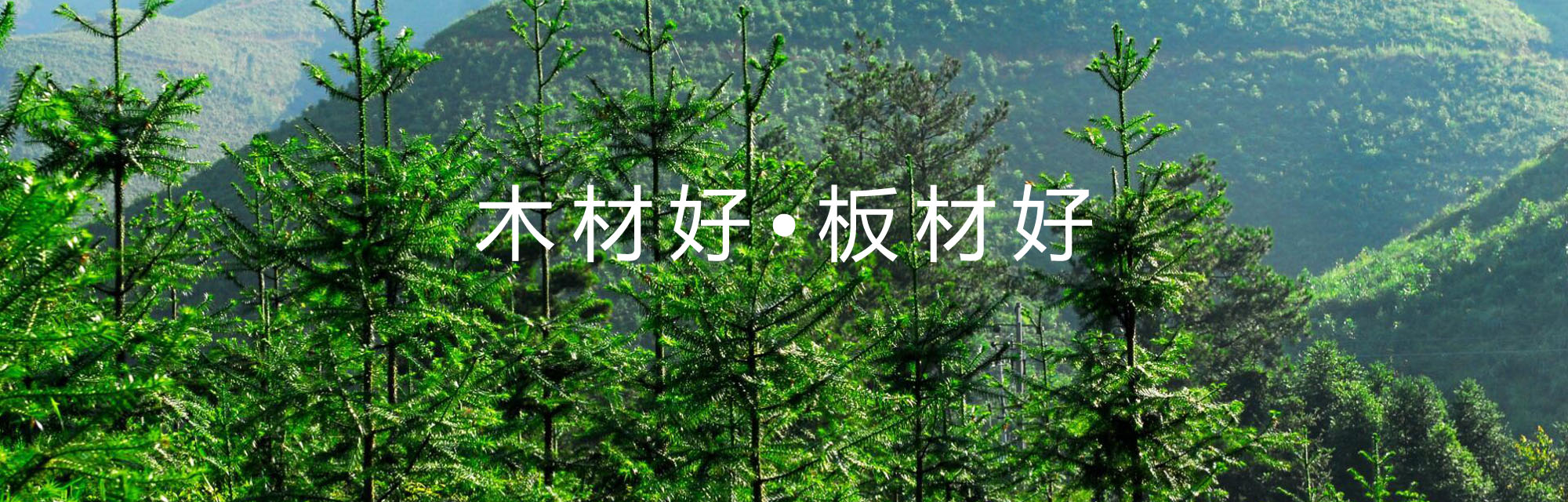 常州品軒木業有限公司